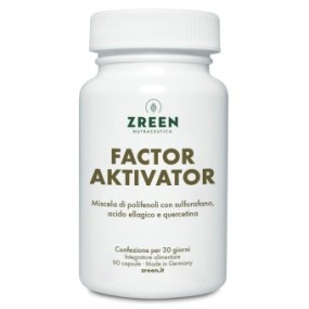 Zreen factor aktivator 90 capsule