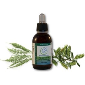 Pb osteovis gocce 50 ml
