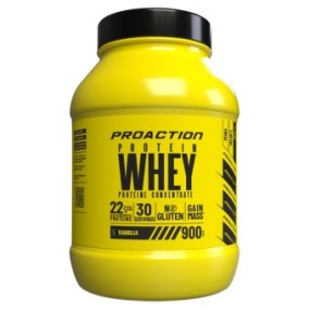 Proaction fit whey protein vaniglia 900 g