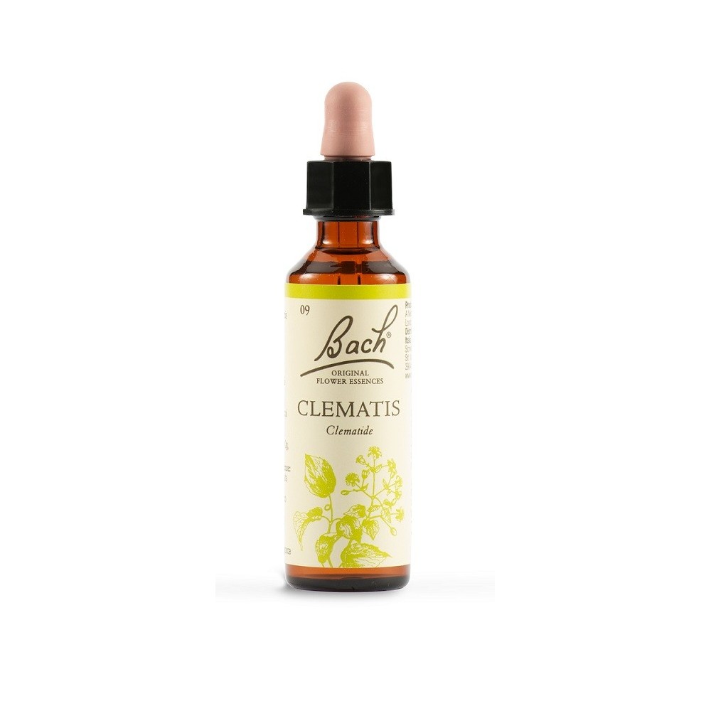 Clematis fiori di bach original 20 ml schwabe pharma italia