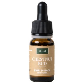 Chestnut bud 10 ml