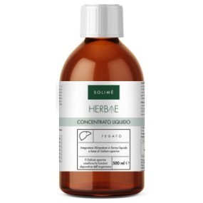 Concentrato liquido fegato 500 ml