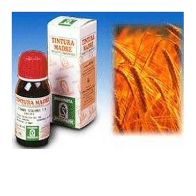 Avena sativa 3 50ml tm