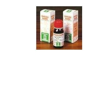 Eleuterococco soluzione idroalcolica 60 50 ml specchiasol