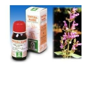 Salvia officinalis soluzione idroalcolica 25 50 ml specchiasol