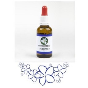 Combinazione 8 23,67 g