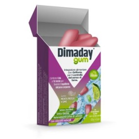 Dimaday gum 10 chewing gum