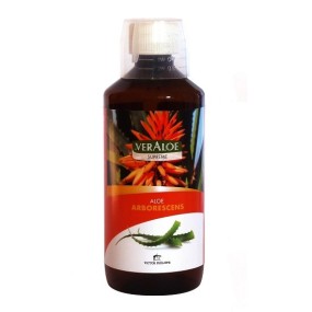 Victor philippe veraloe succo 500 ml