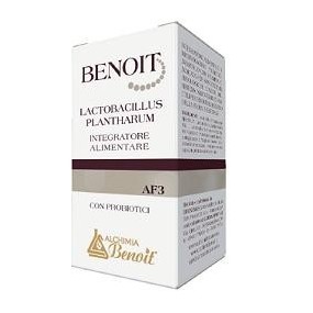 Benoit lactobacillus plantharum 30 cps alchimia benoit