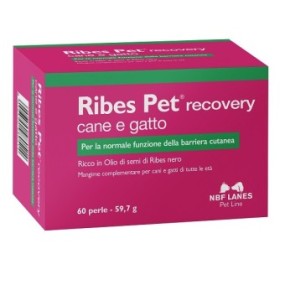 Ribes pet recovery blister 60 perle