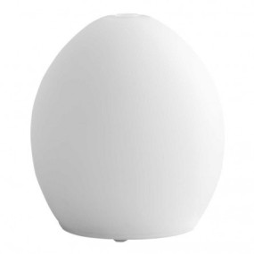 Diffusore ad ultrasuoni in vetro oval serbatoio 100 ml nasoterapia
