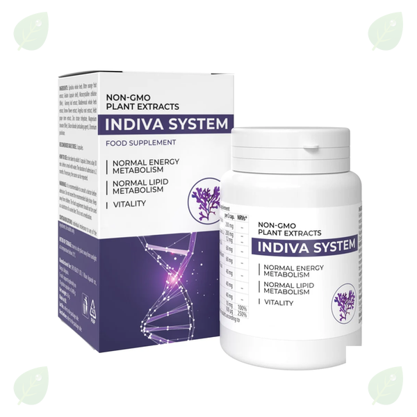 InDiva System