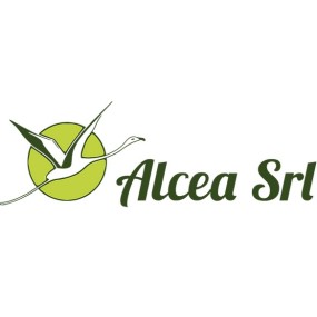 ALCEA